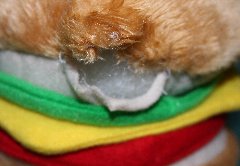 子犬に壊されたおもちゃ