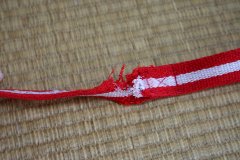 子犬にいたずらされたリード