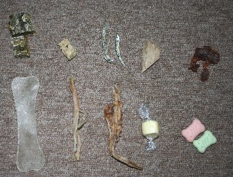 子犬のおやつの種類