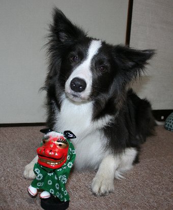小さな獅子舞と犬