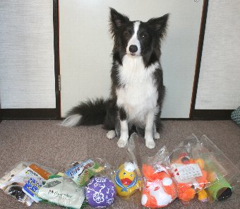 福袋の中身のおもちゃと犬