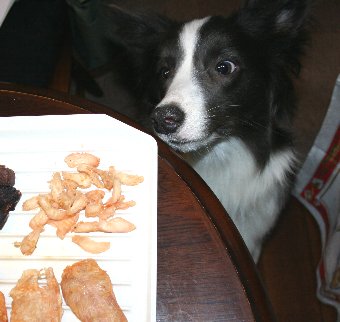 おやつに接近する犬