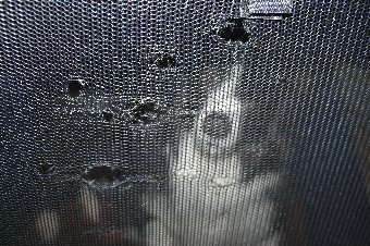 メッシュのクレートを破壊する犬