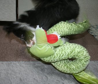 大きなドラゴンのぬいぐるみで遊ぶ犬