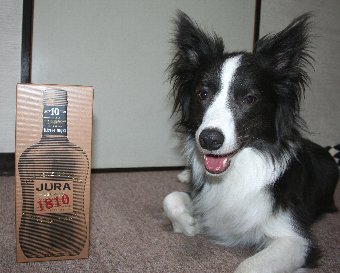 同じ名前のウィスキーボトルと記念撮影する犬